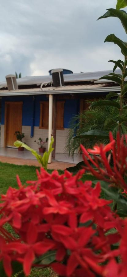 Pousada Estancia Da Mata Estivado エクステリア 写真